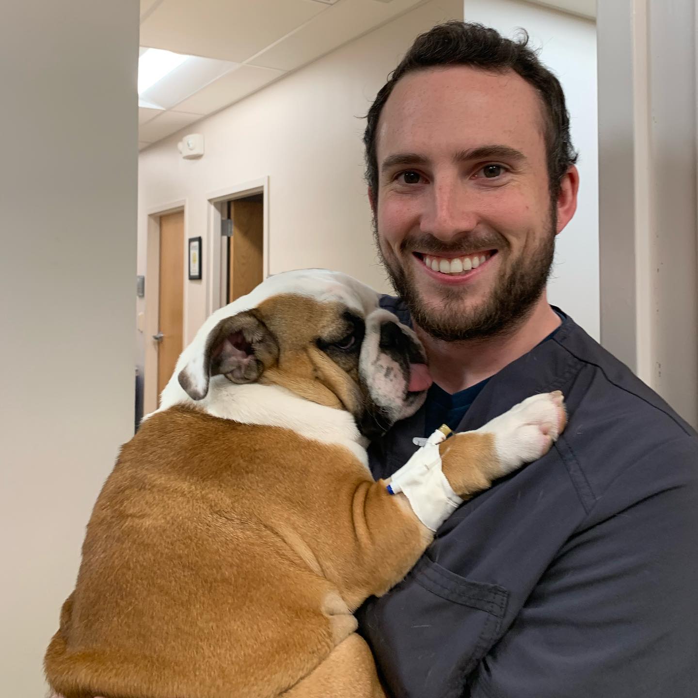 brian and bulldog