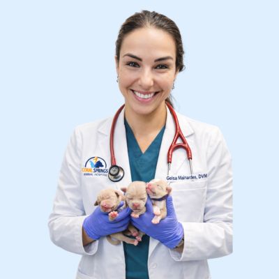 Geisa Mainardes